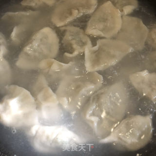 茴香饺子的做法步骤：19
