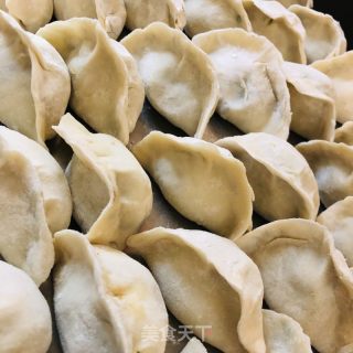 茴香饺子的做法步骤：18