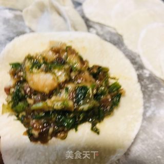 茴香饺子的做法步骤：17