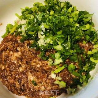 茴香饺子的做法步骤：11