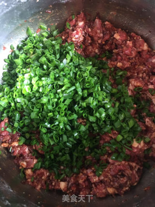 萝卜香菜牛肉水煎饺的做法步骤：6