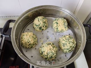 苜蓿菜团的做法步骤：8