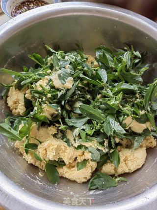 苜蓿菜团的做法步骤：7