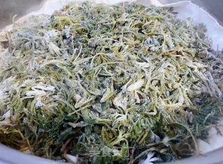 粉蒸白蒿的做法步骤：9