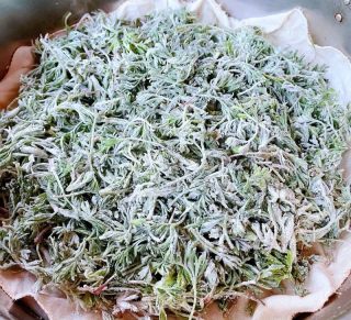 粉蒸白蒿的做法步骤：8
