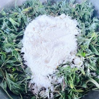 粉蒸白蒿的做法步骤：6