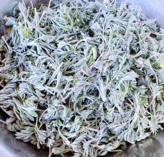 粉蒸白蒿的做法步骤：1