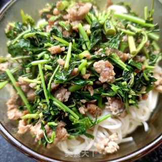 蒜香肉末香椿面的做法步骤：16