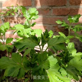红糖艾草糍粑的做法步骤：1