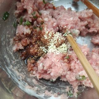 小蓟肉馄饨的做法步骤：9