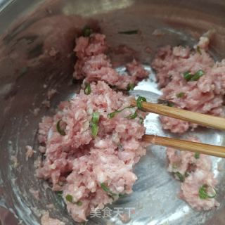 小蓟肉馄饨的做法步骤：7