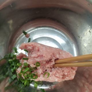 小蓟肉馄饨的做法步骤：6