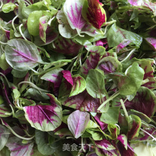蒜片炒红苋菜的做法步骤：2