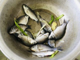 奶白鲫鱼汤的做法步骤：1
