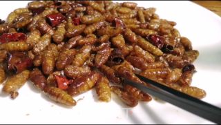 香酥小蚕蛹的做法步骤：11