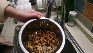 香酥小蚕蛹的做法步骤：4
