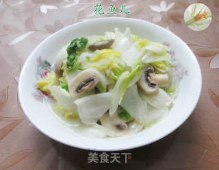 蘑菇炒黄心菜的做法