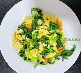 芹菜叶炒鸡蛋的做法
