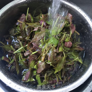 香辣香椿芽的做法步骤：1