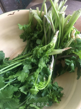 清肾毒香菜水的做法步骤：1