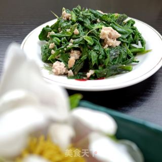 肉沫炒小蓟的做法步骤：13