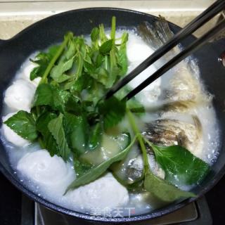 溪黄草鲫鱼汤的做法步骤：6