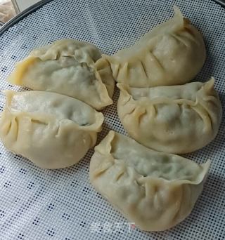 海菜包子