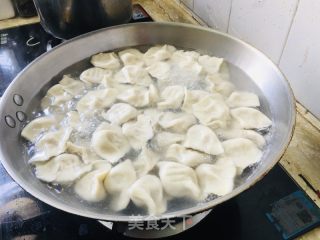 苤蓝大肉水饺的做法步骤：10