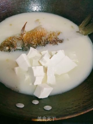 奶白鲫鱼豆腐汤的做法步骤：4