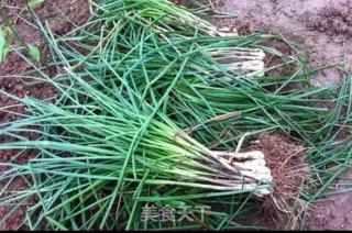 野荞头炒鸡蛋的做法步骤：1