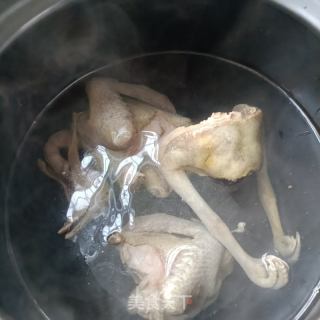 沙参玉竹鸽子汤的做法步骤：3