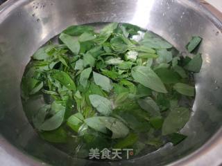 槐叶小米粥的做法步骤：1