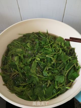 春天里失败的香椿酱的做法步骤：2