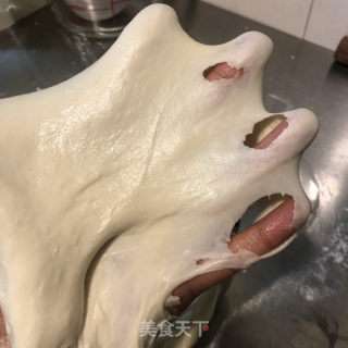 香葱肉松饼的做法步骤：10