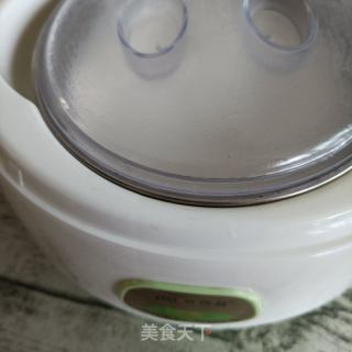 木瓜酸奶的做法步骤：9
