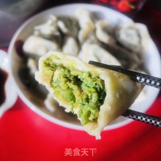 香菜水饺的做法步骤：16