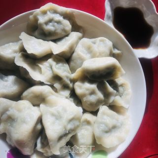 香菜水饺的做法步骤：15