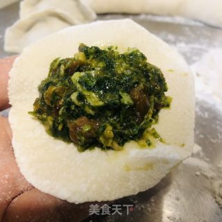 香菜水饺的做法步骤：12
