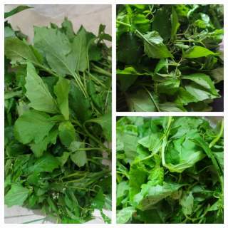 鲮鱼球煮白花菜的做法步骤：1