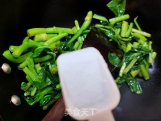 清炒菜芯的做法步骤：6
