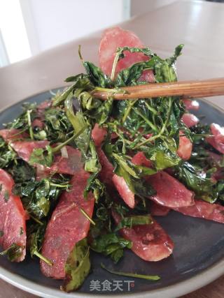 花椒芽炒广式腊肠的做法步骤：10