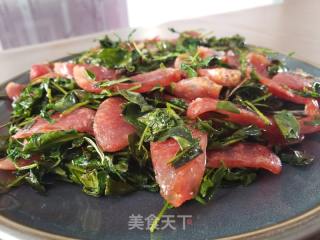 花椒芽炒广式腊肠的做法步骤：8