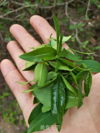 花椒芽炒广式腊肠的做法步骤：2
