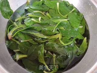 车前草炒鸡蛋的做法步骤：3