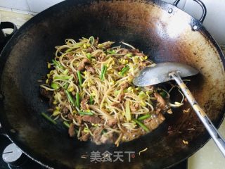 黄豆芽炒肉丝的做法步骤：8