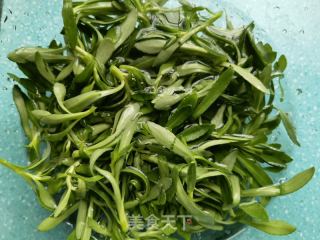 小米椒蒜蓉炒养心菜的做法步骤：2