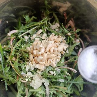 花生拌蒲公英的做法步骤：8