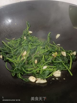 蒜香地瓜苗的做法步骤：6