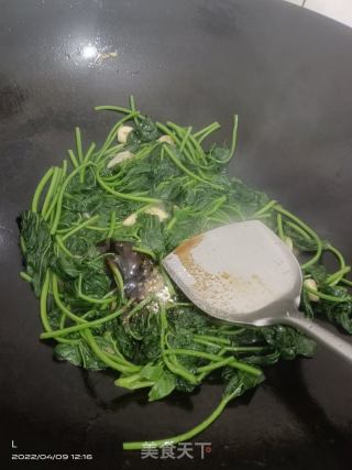蒜香地瓜苗的做法步骤：5