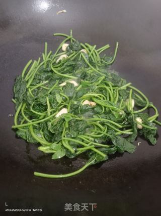蒜香地瓜苗的做法步骤：4